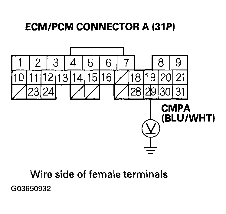 G03650932