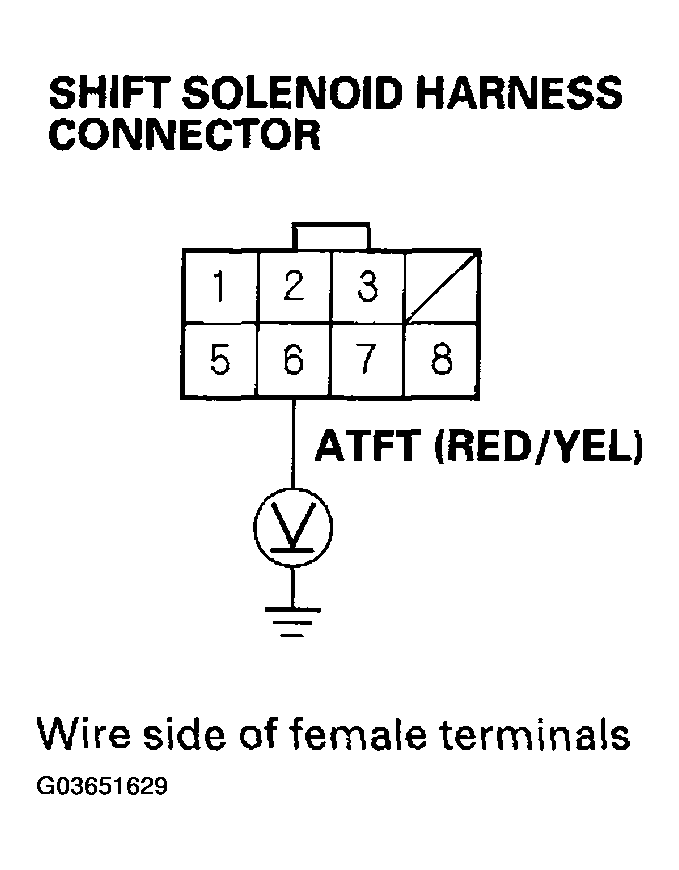 G03651629