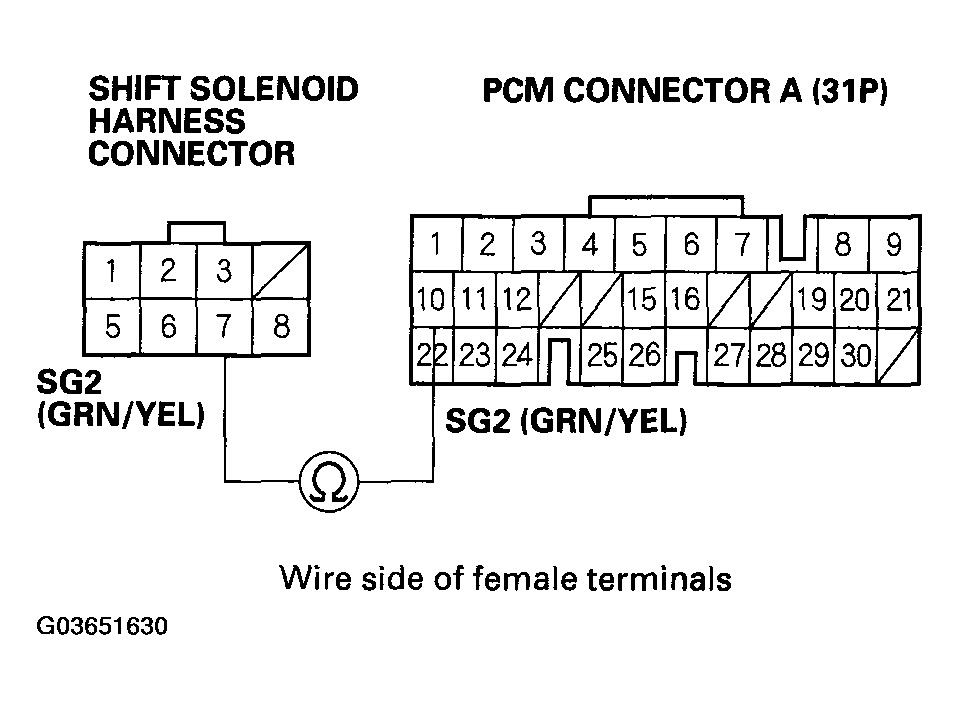 G03651630