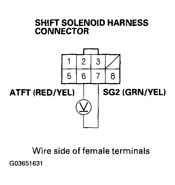 G03651631