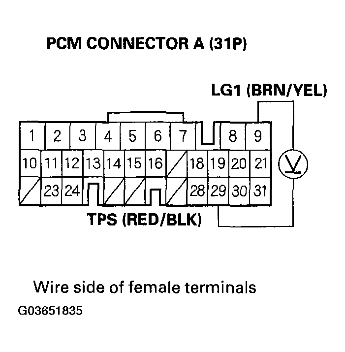 G03651835