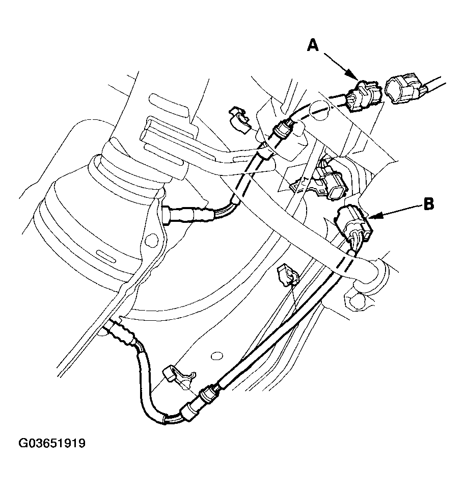 G03651919