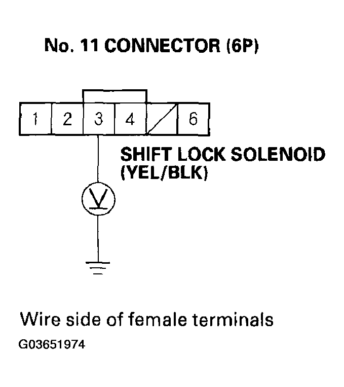 G03651974