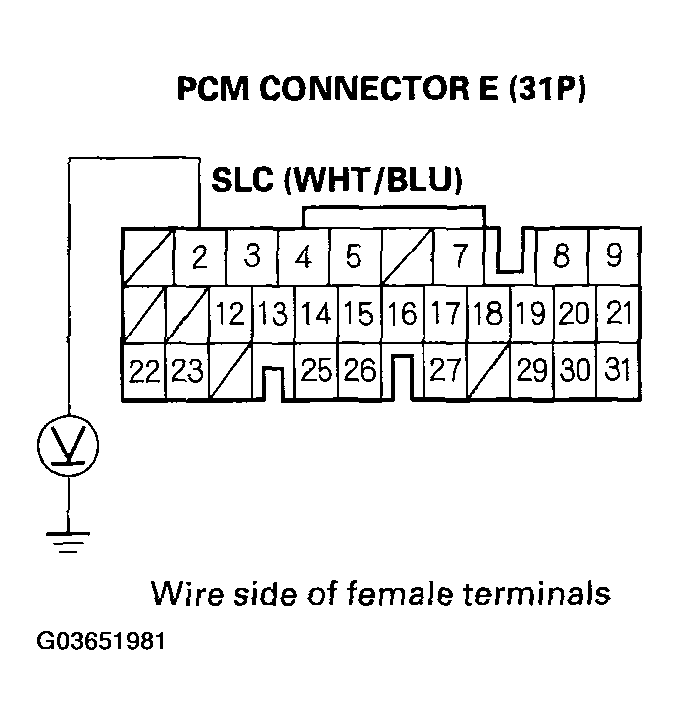 G03651981