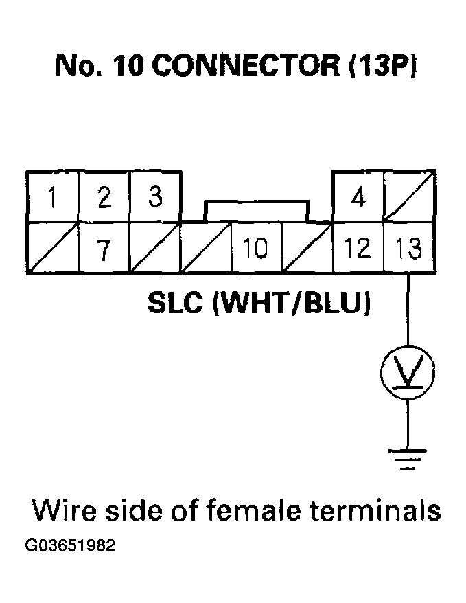 G03651982