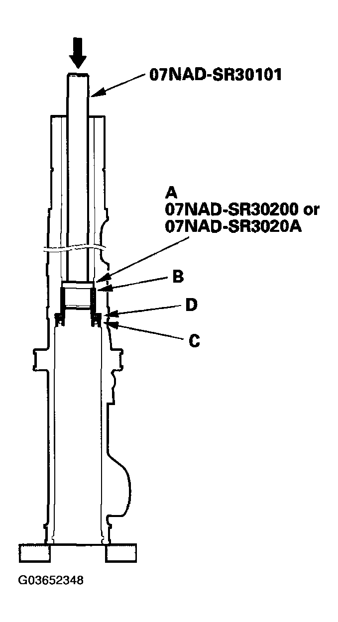 G03652348
