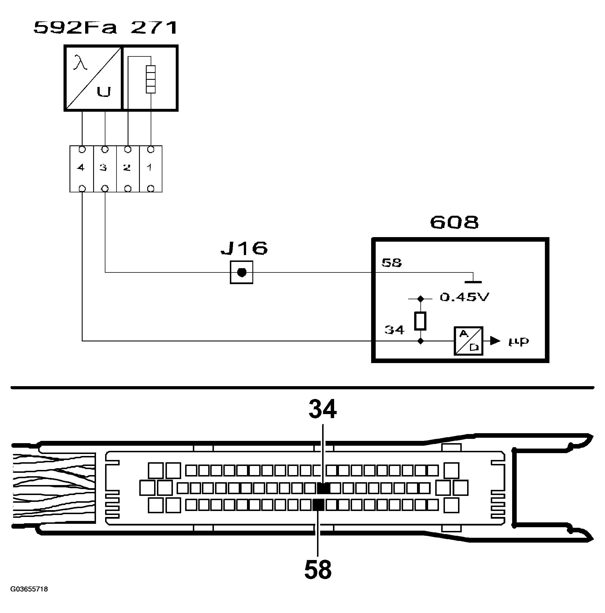 G03655718