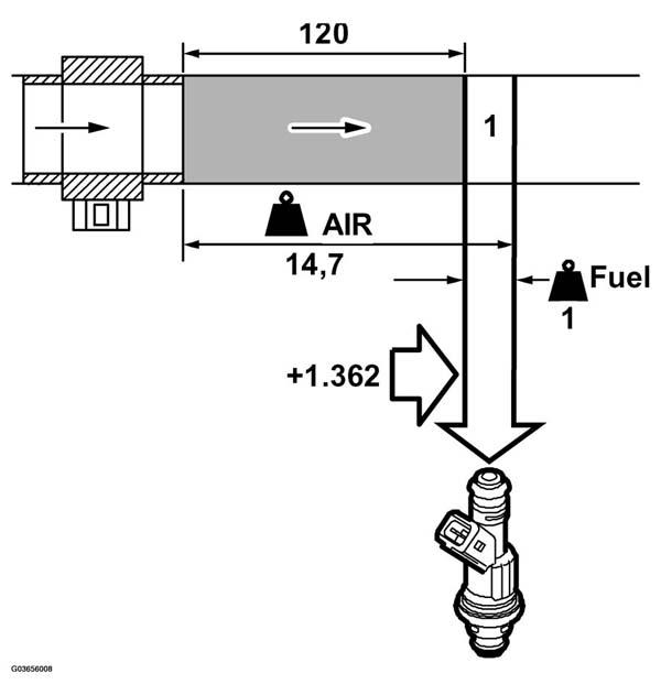 G03656008