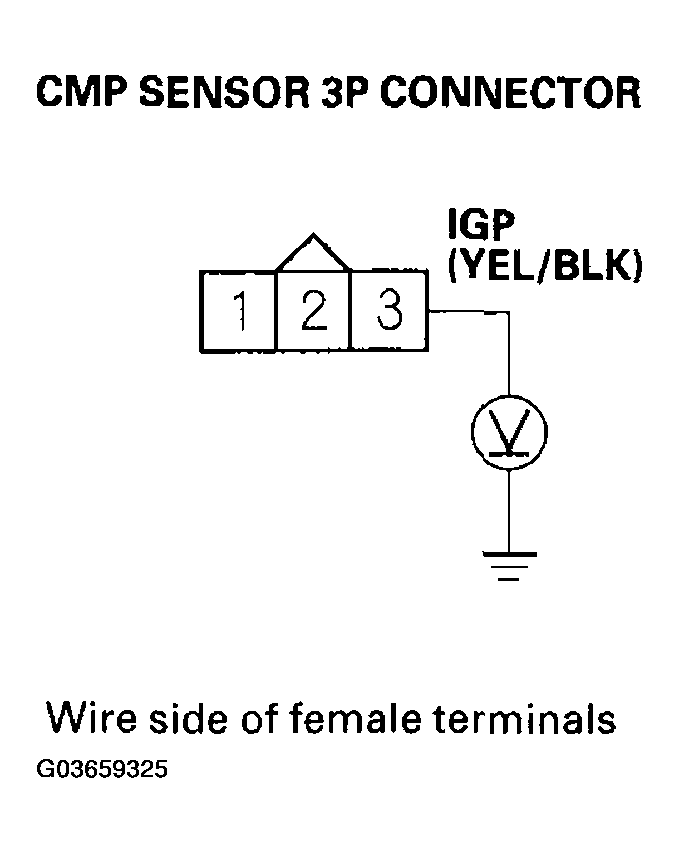 G03659325