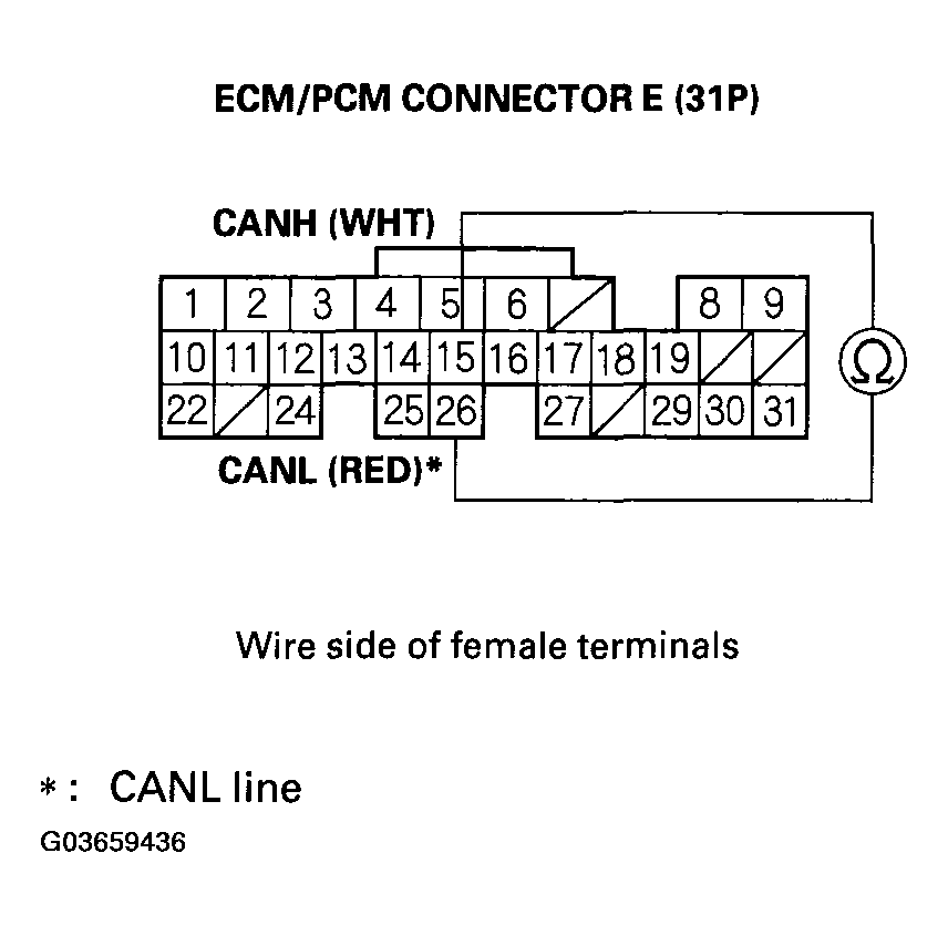 G03659436