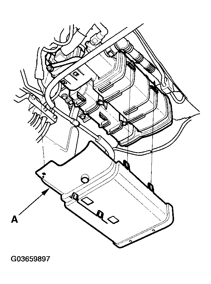 G03659897