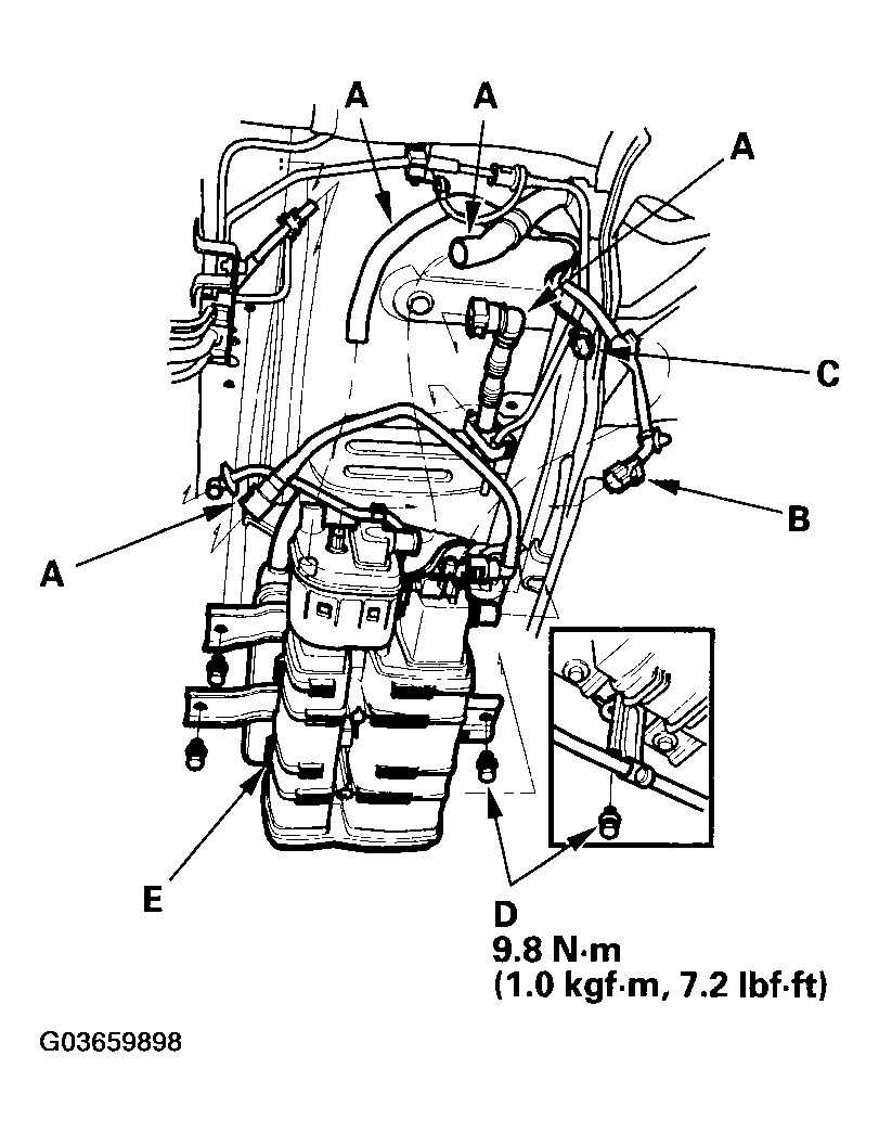 G03659898
