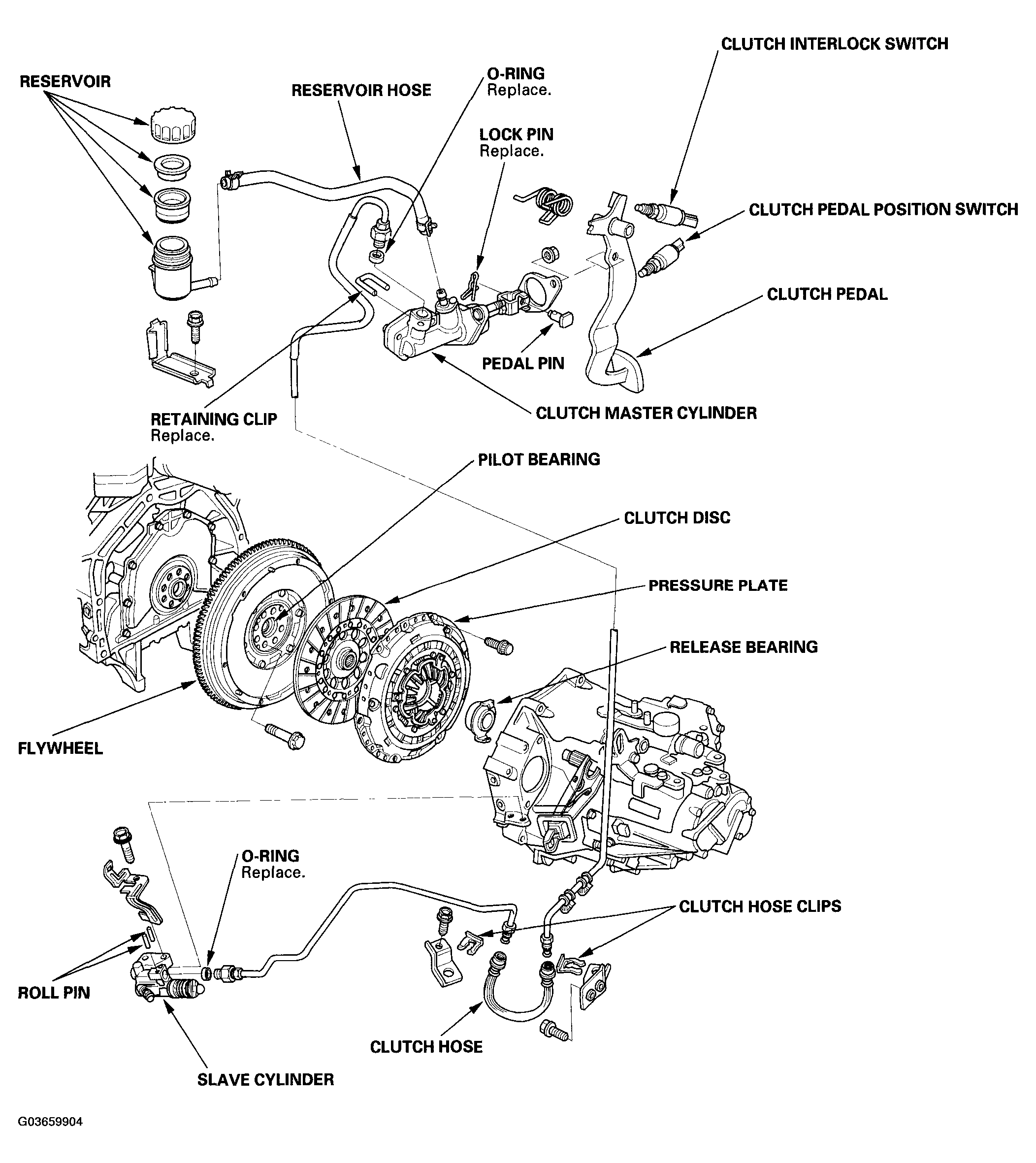 G03659904