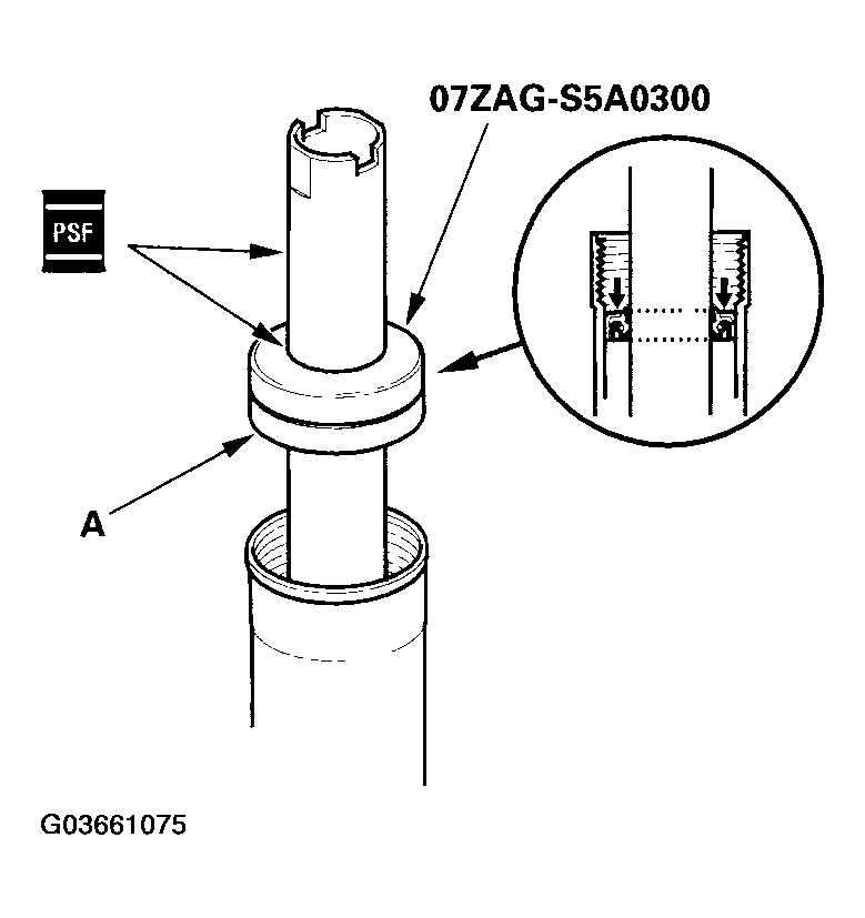 G03661075