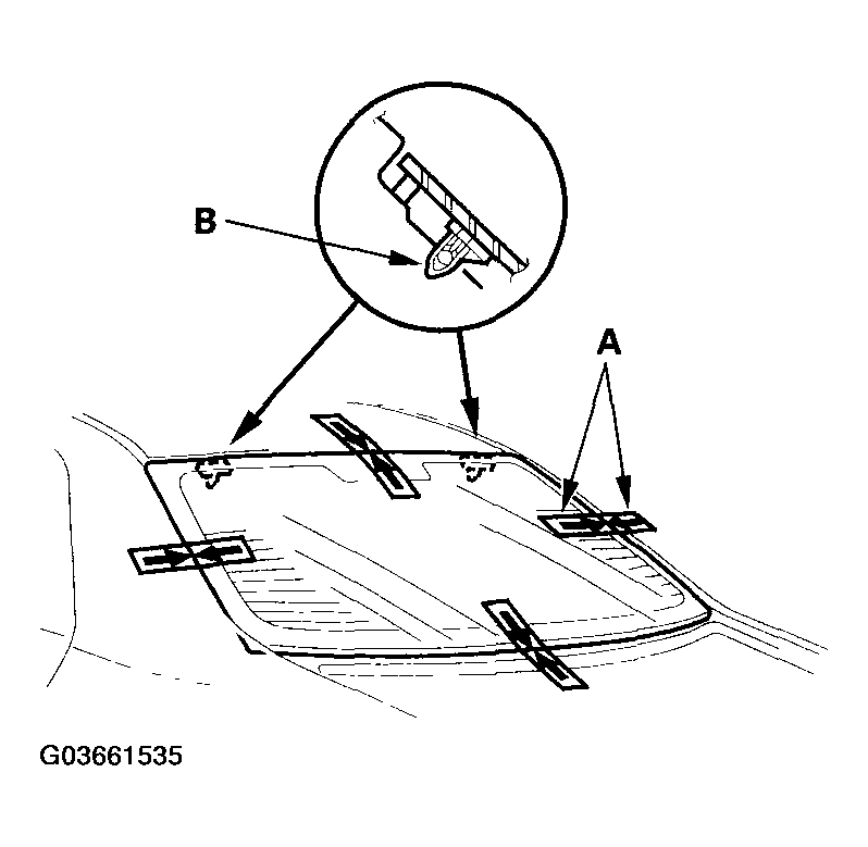G03661535