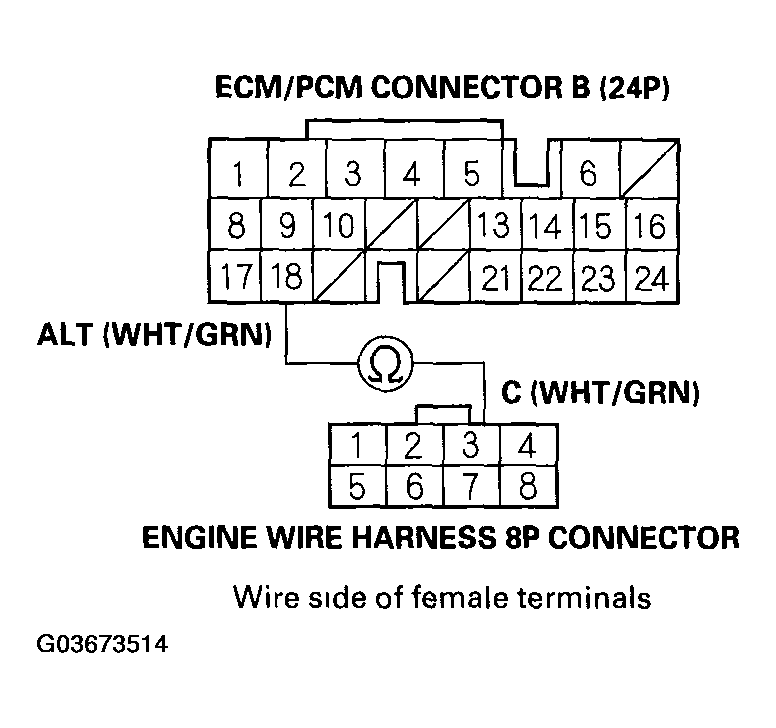 G03673514