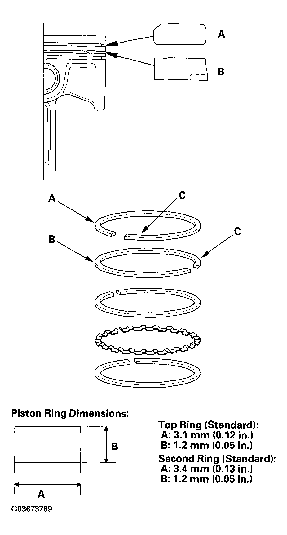 G03673769