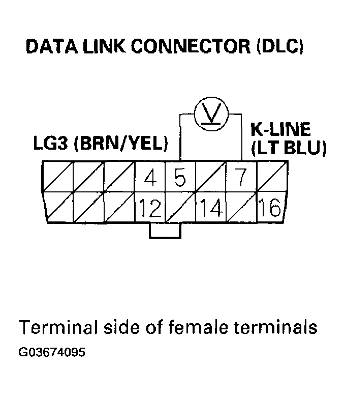 G03674095
