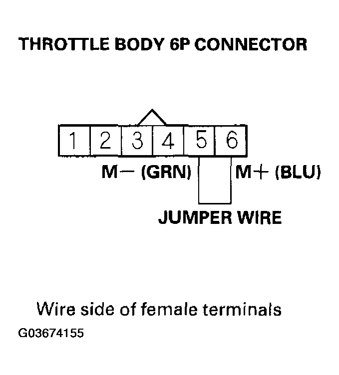 G03674155