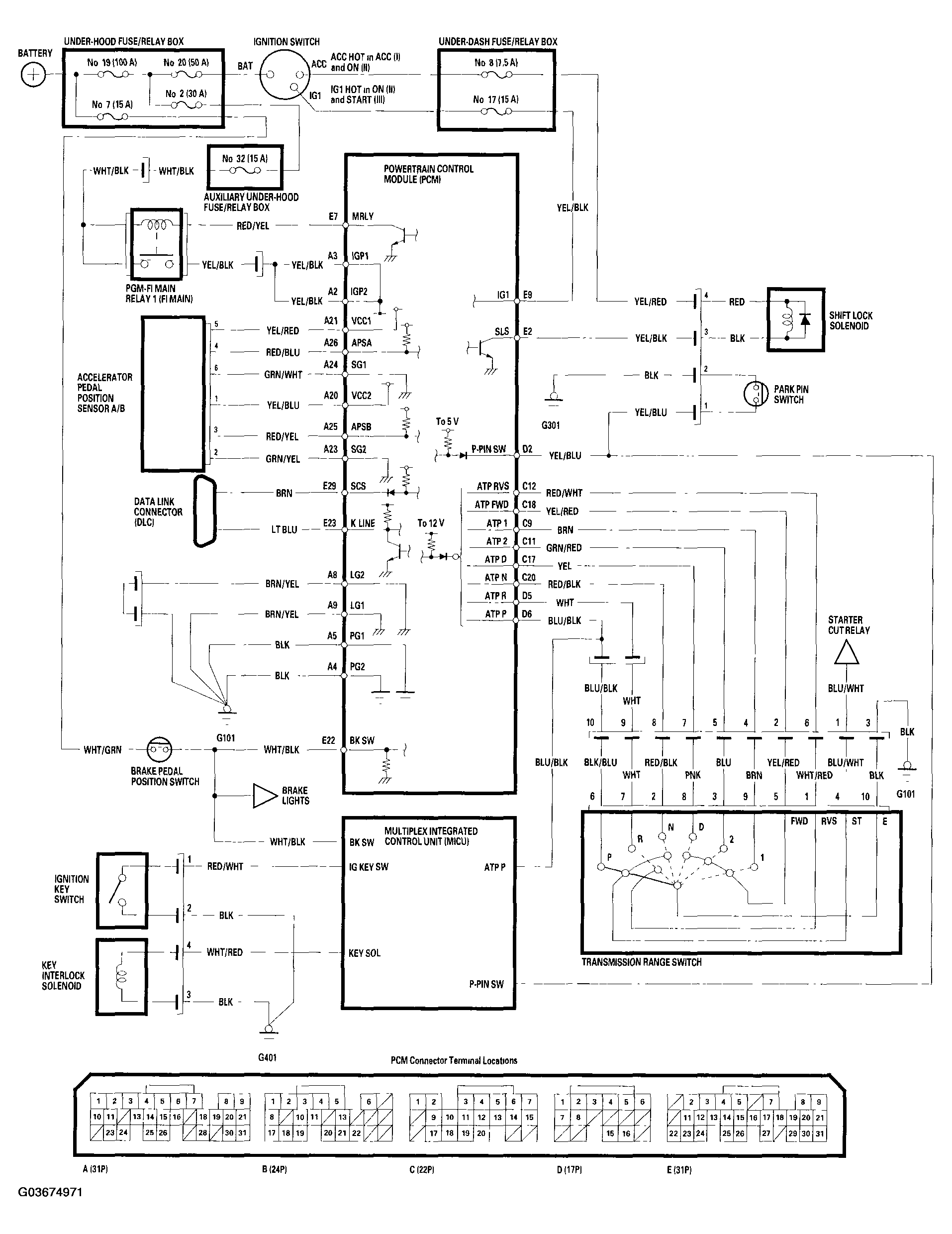 G03674971