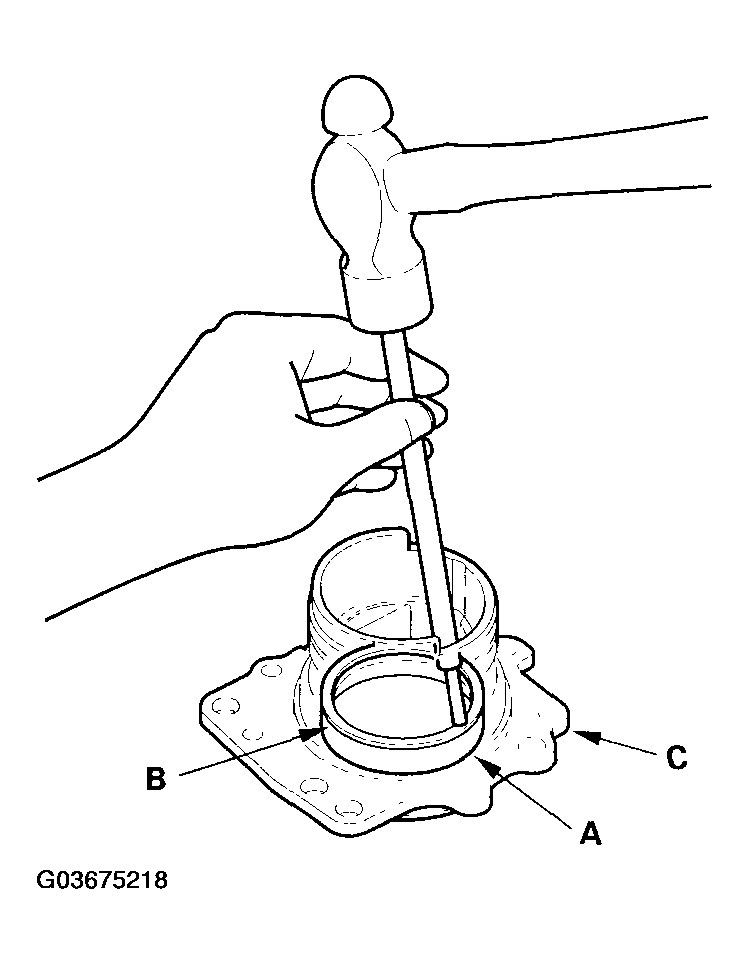 G03675218
