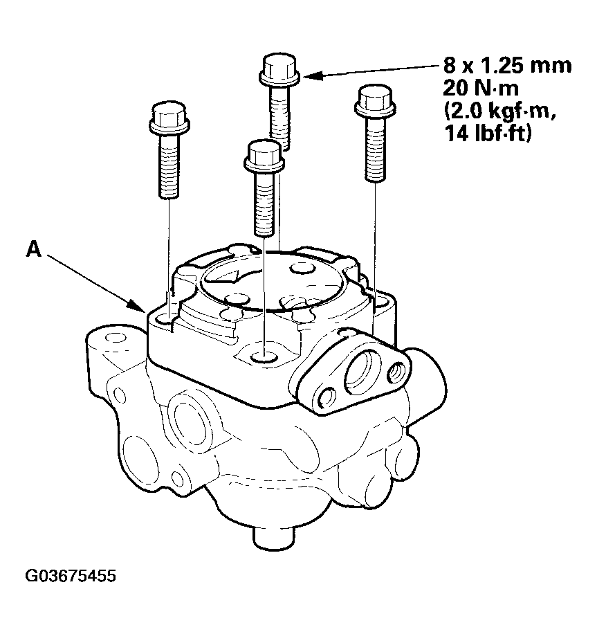G03675455
