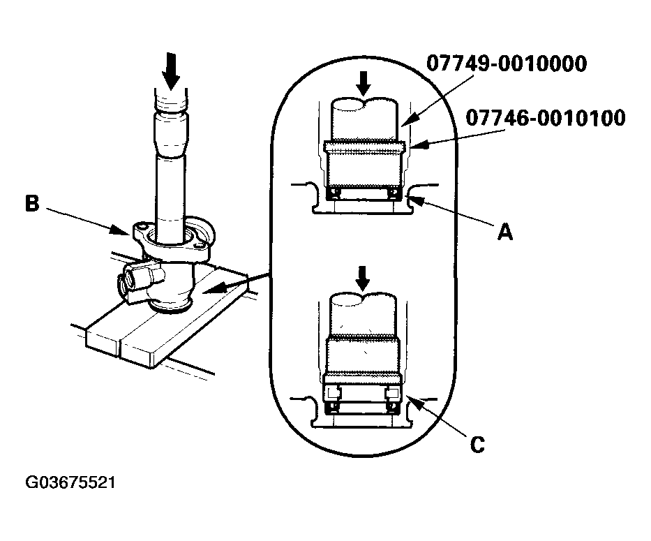 G03675521