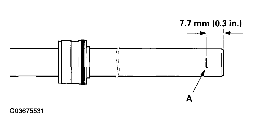 G03675531