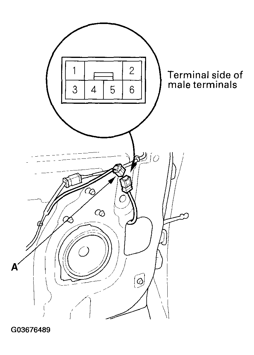 G03676489