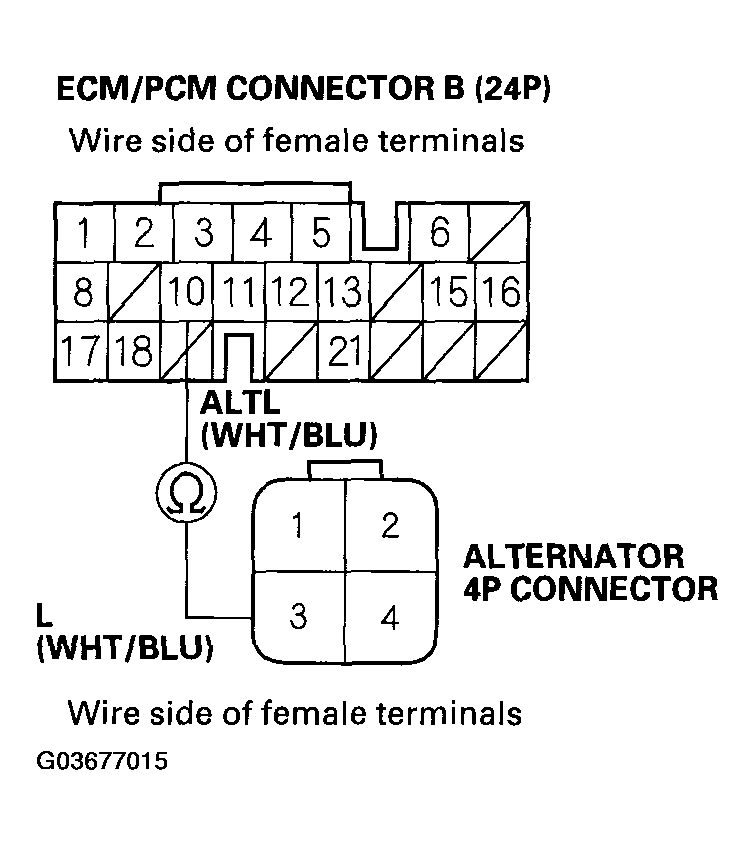 G03677015