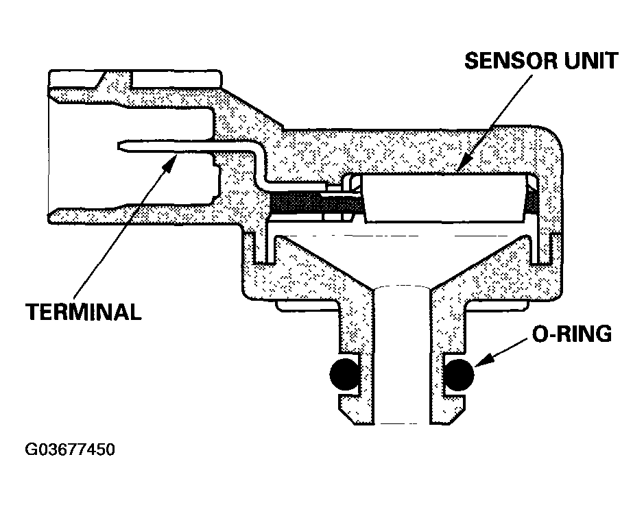 G03677450