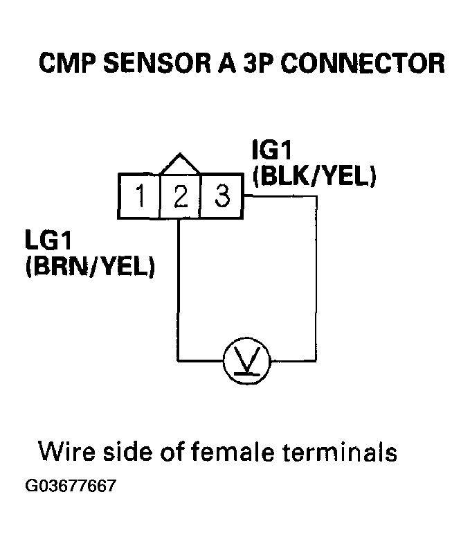 G03677667
