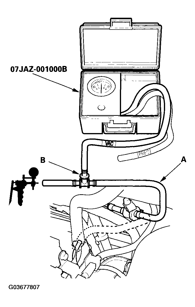 G03677807
