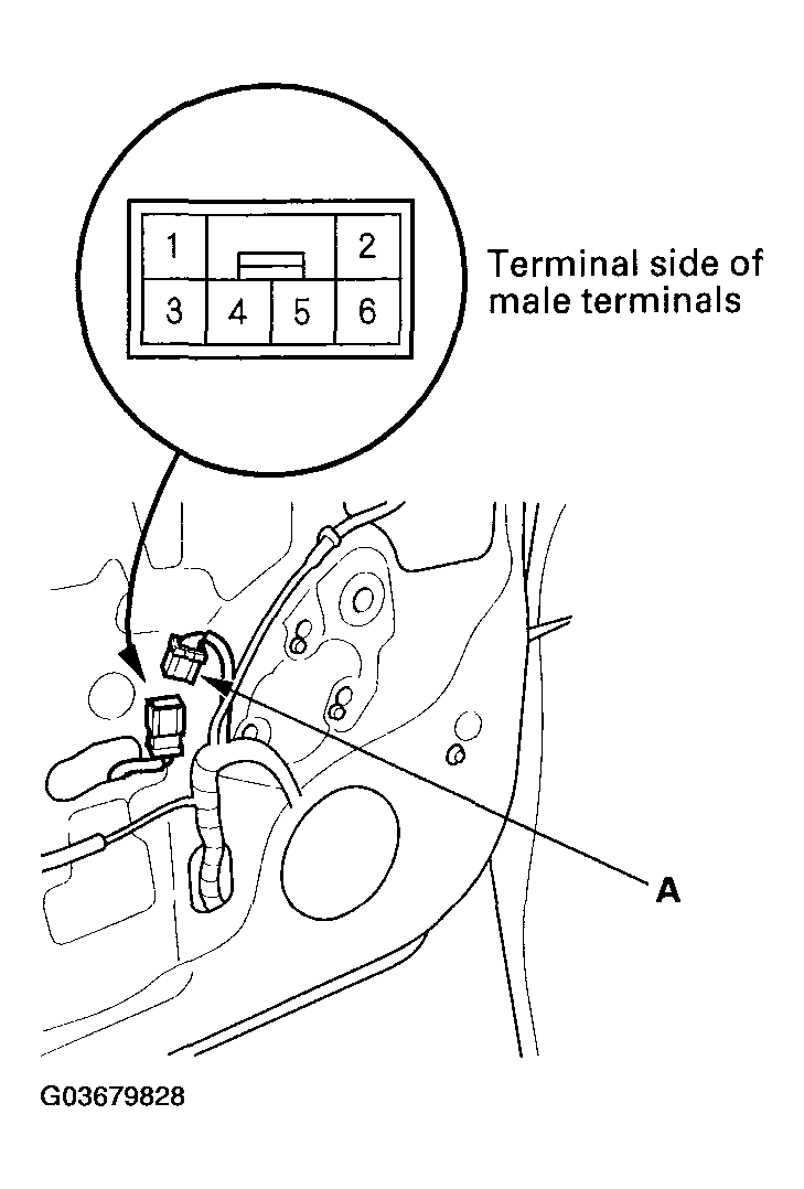 G03679828