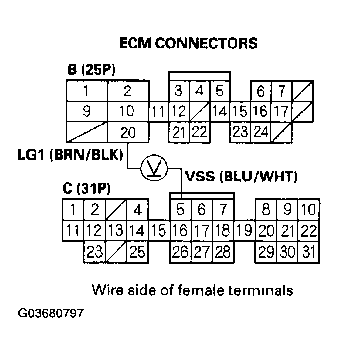 G03680797