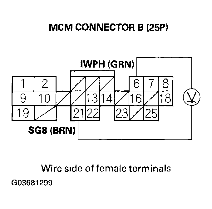 G03681299
