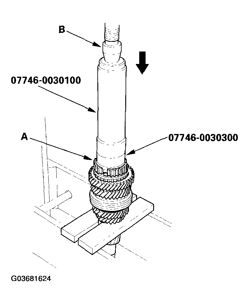 G03681624