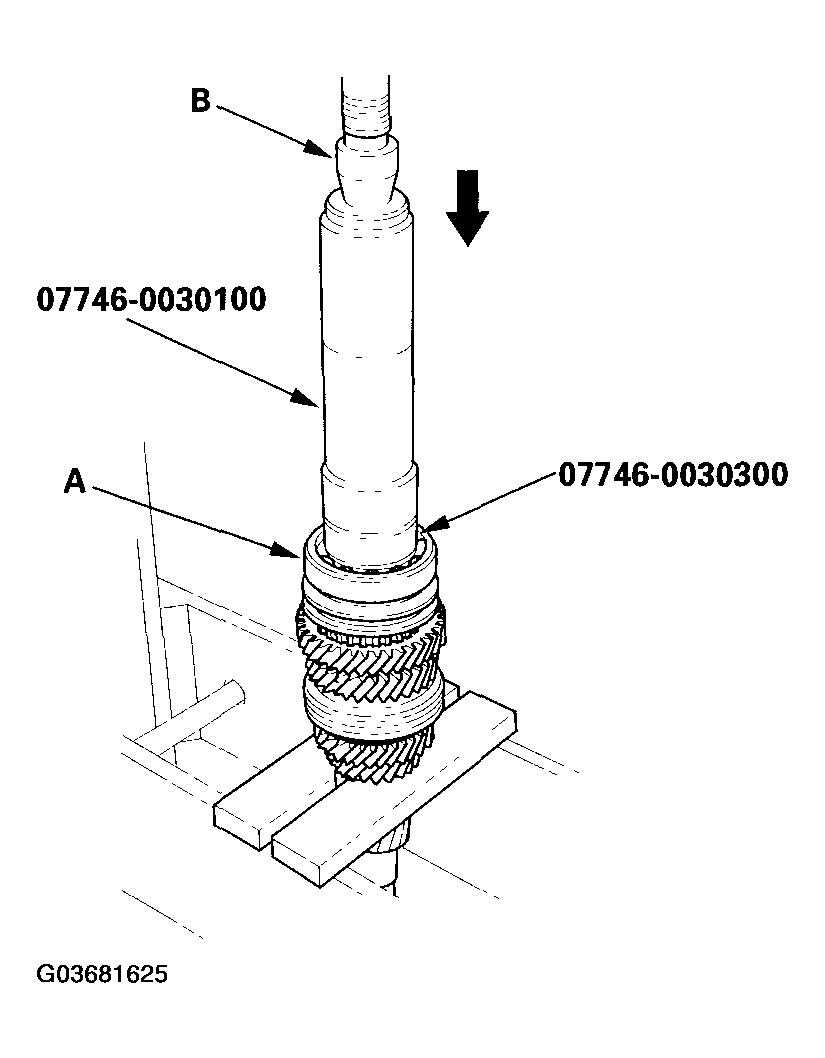 G03681625