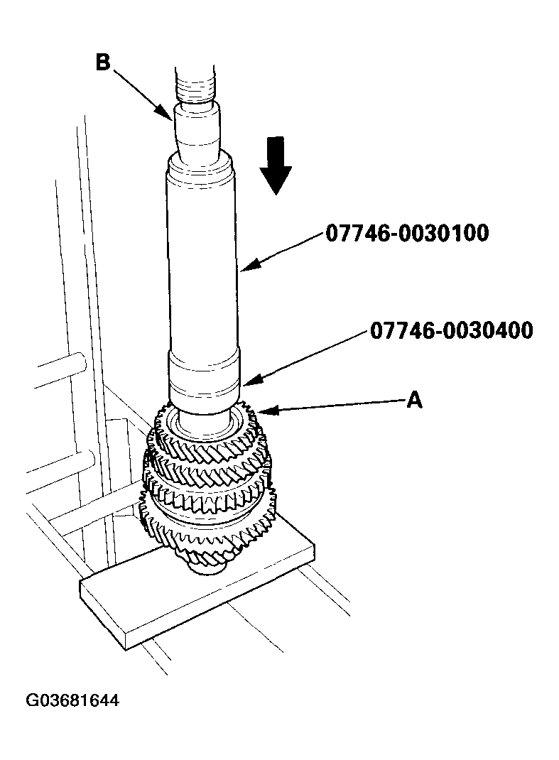 G03681644
