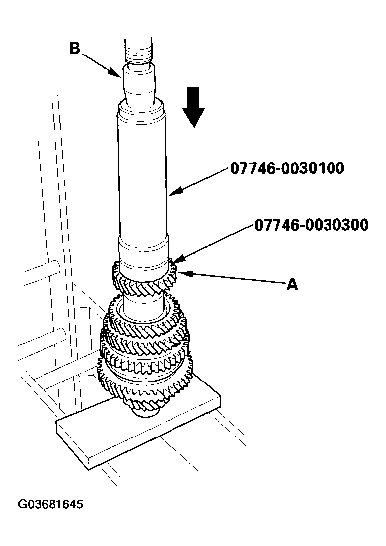 G03681645