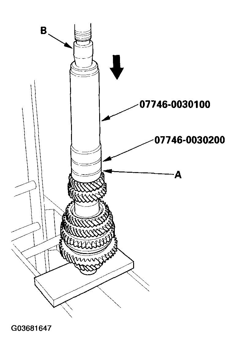 G03681647