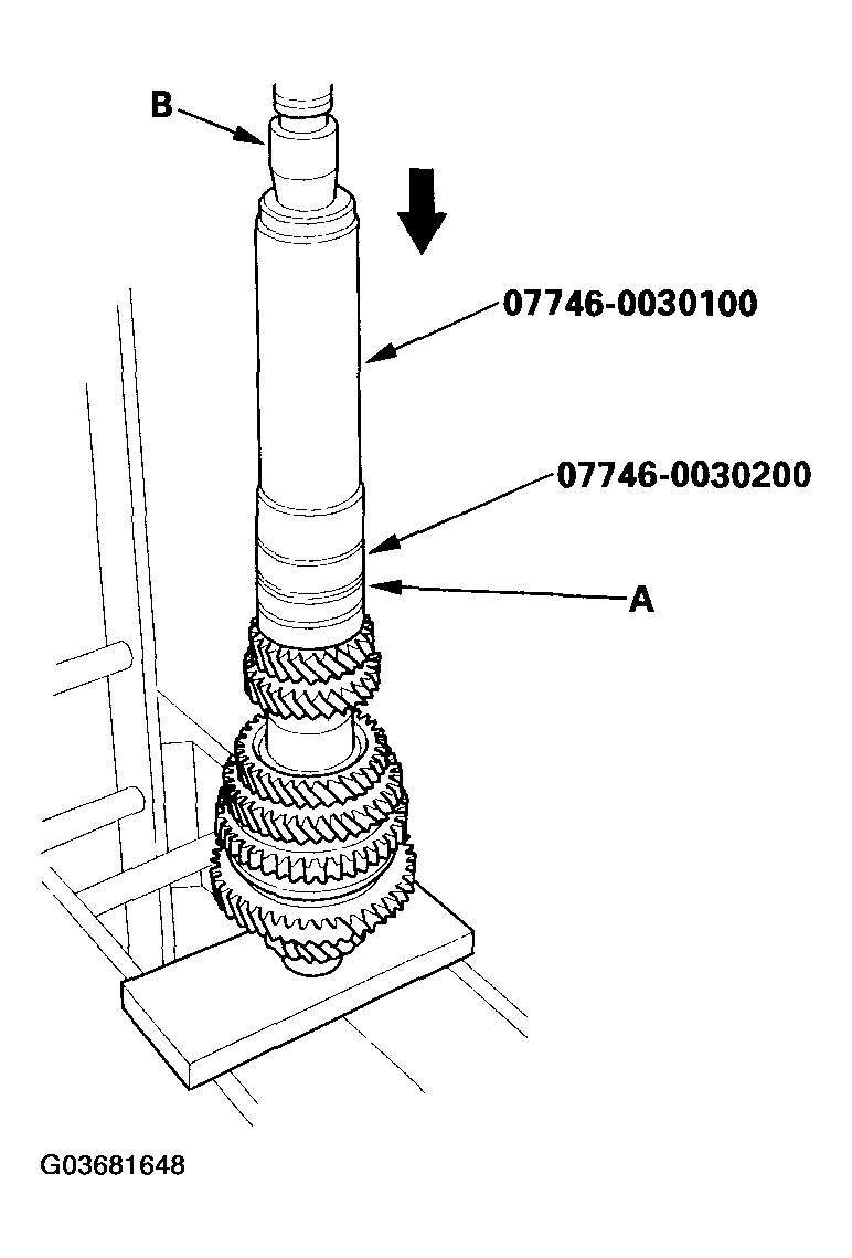 G03681648