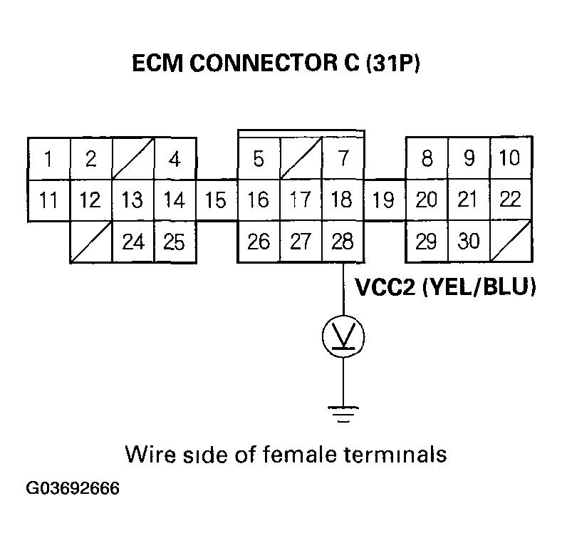 G03692666