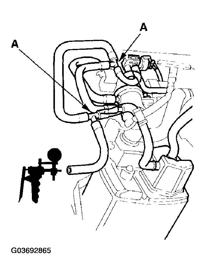 G03692865