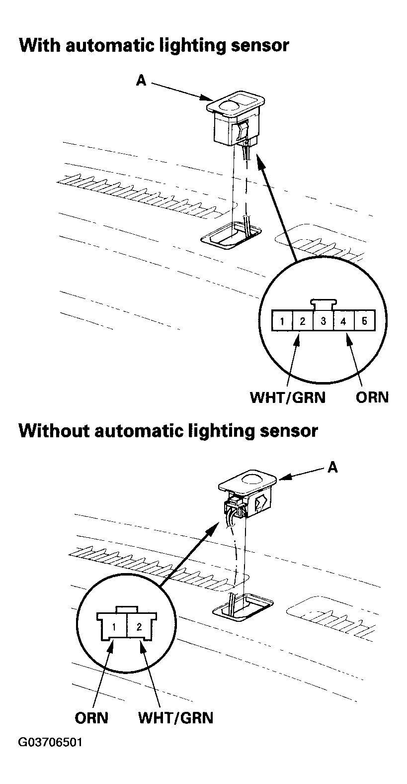 G03706501