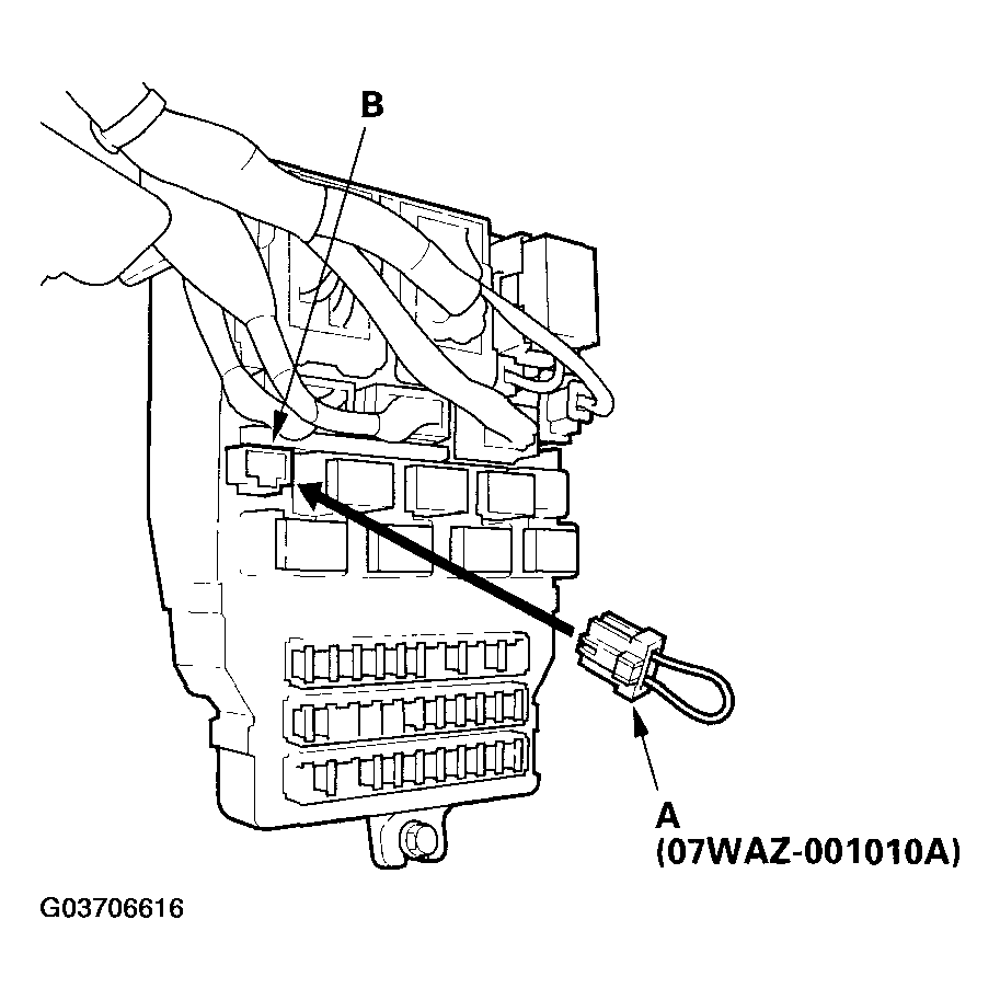 G03706616