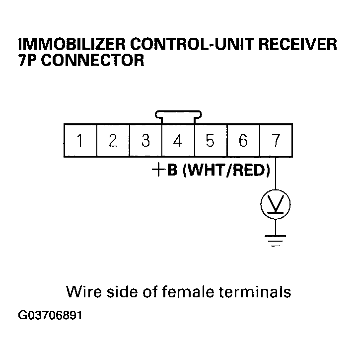 G03706891