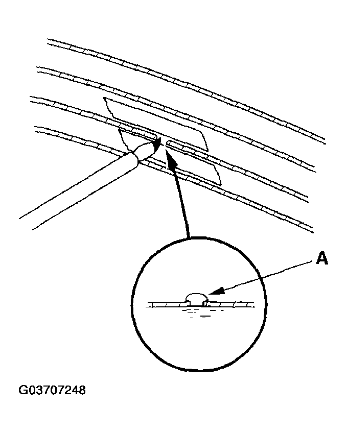 G03707248