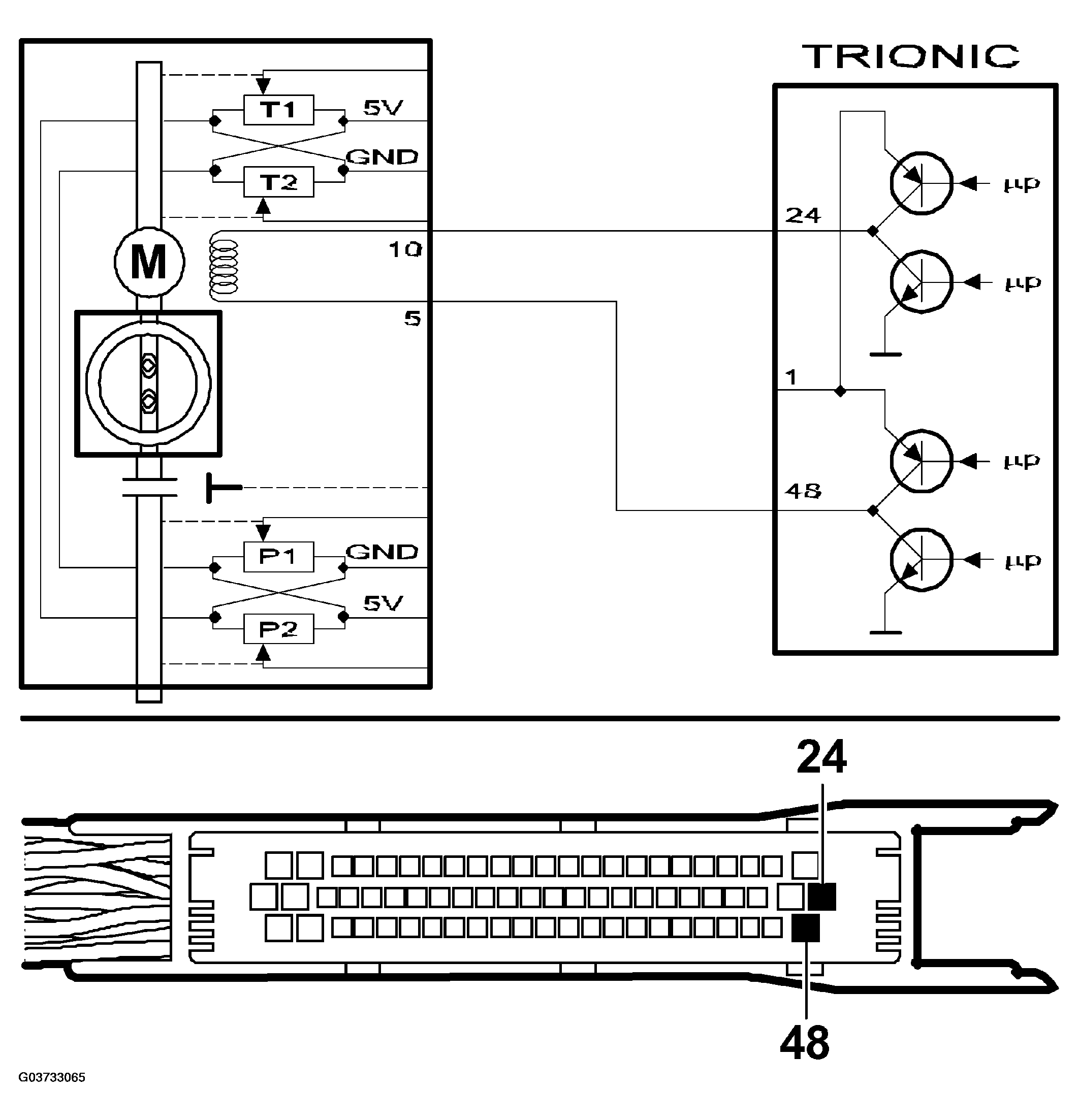 G03733065