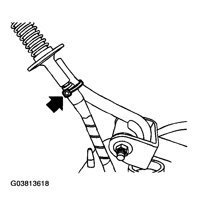 G03813618